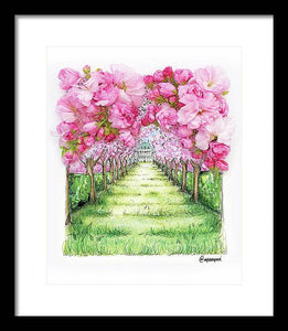 Cherry Blossom Fields - Framed Print