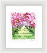 Cherry Blossom Fields - Framed Print