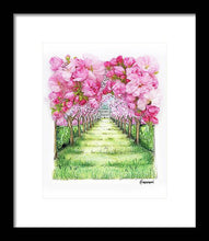 Cherry Blossom Fields - Framed Print