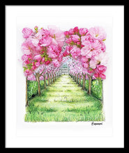 Cherry Blossom Fields - Framed Print